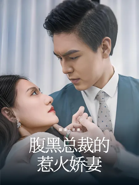 腹黑总裁的惹火娇妻