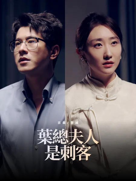 葉總夫人是刺客