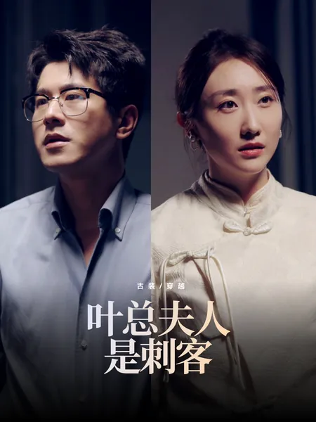 叶总夫人是刺客