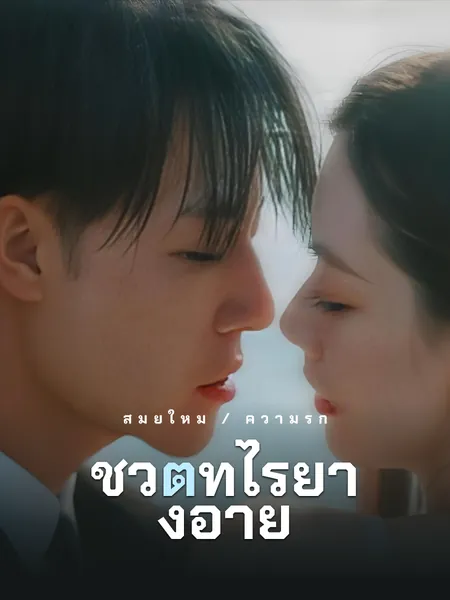 สุนัขและม้าที่ตระการตา