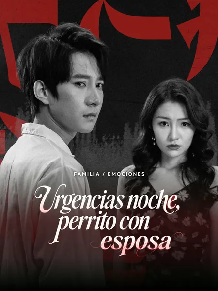 Urgencias noche, perrito con esposa