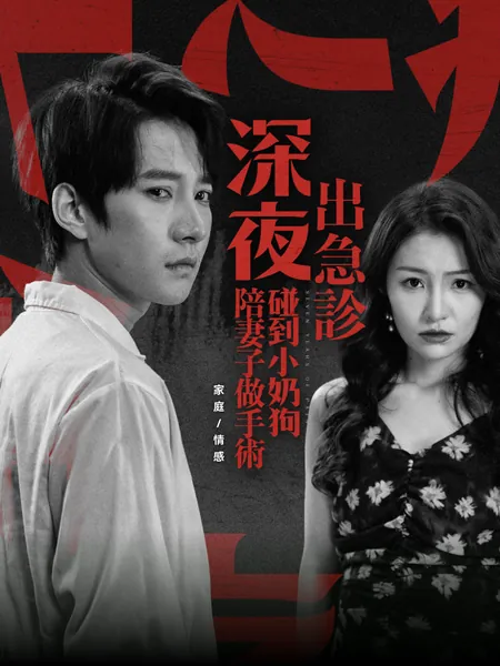 深夜去急診，碰到一隻小奶狗陪妻子做手術