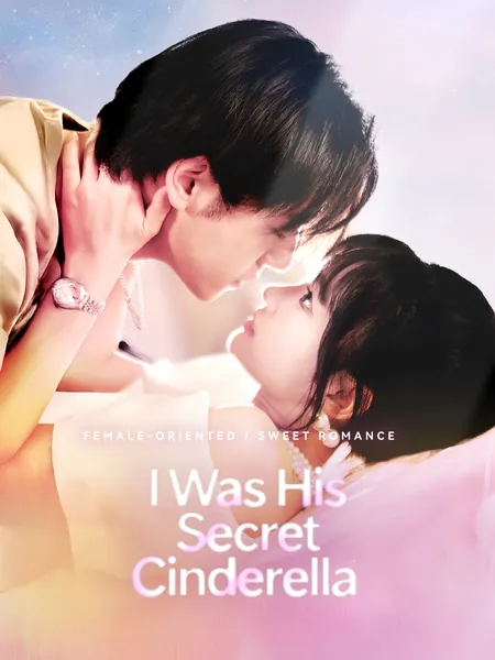 I Was His Secret Cinderella