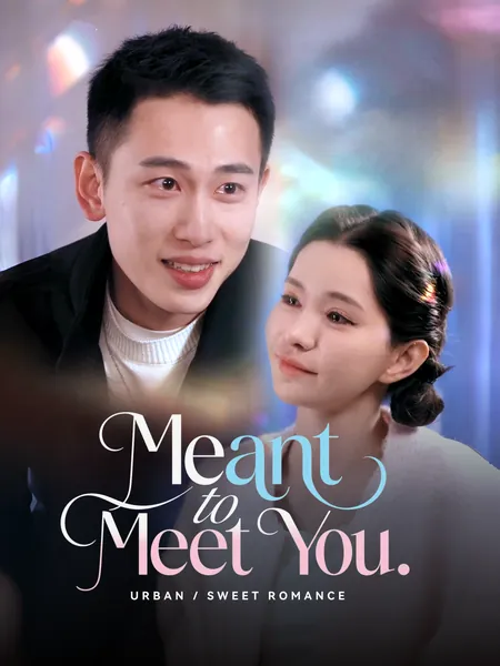 Meant to Meet You