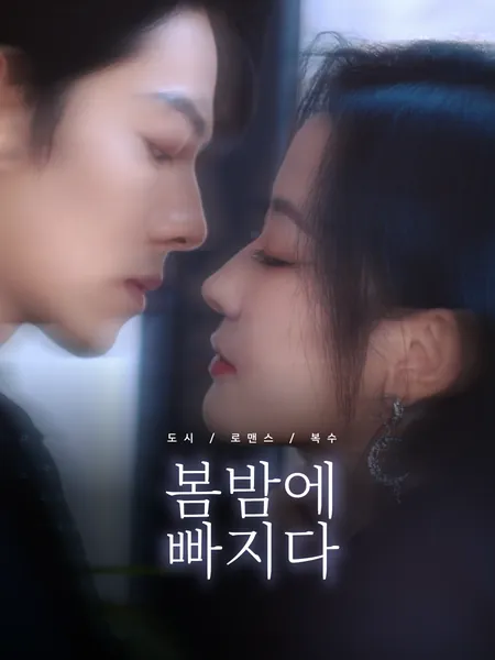봄밤에 빠지다