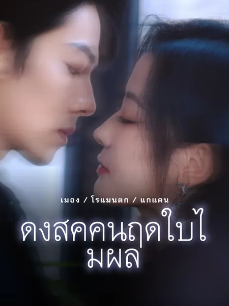 ดิ่งสู่ค่ำคืนฤดูใบไม้ผลิ