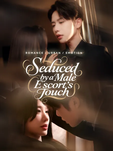 Seduced by a Male Escort's Touch