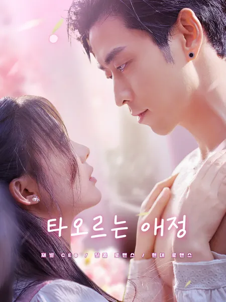 타오르는 애정