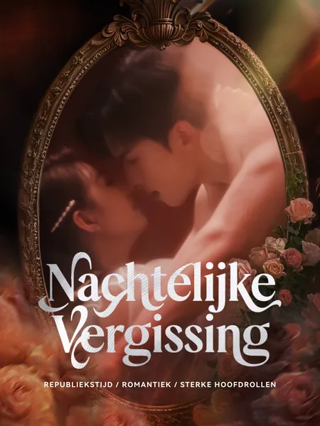 Nachtelijke Vergissing