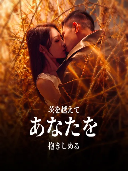 茨を越えてあなたを抱きしめる