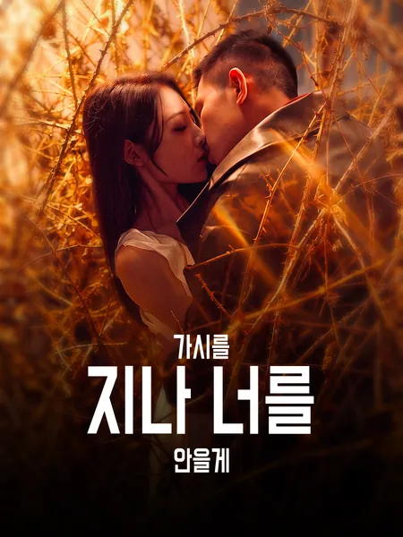 가시덤불 너머 너를 안다