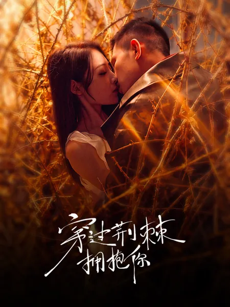 穿过荆棘拥抱你