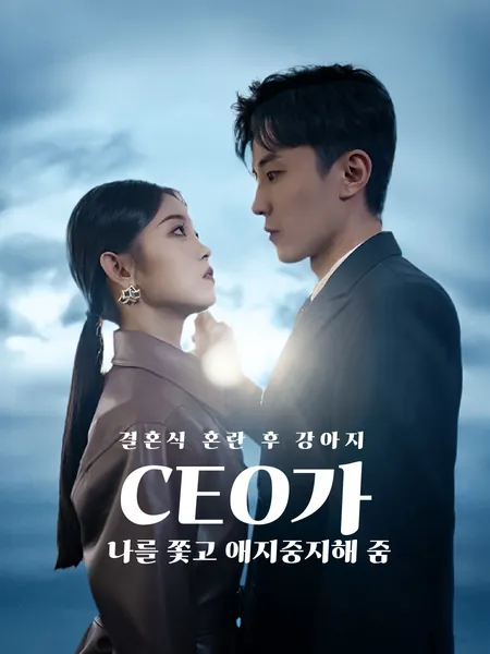 결혼식 혼란 후, 강아지 CEO가 나를 쫓고 애지중지해 줌