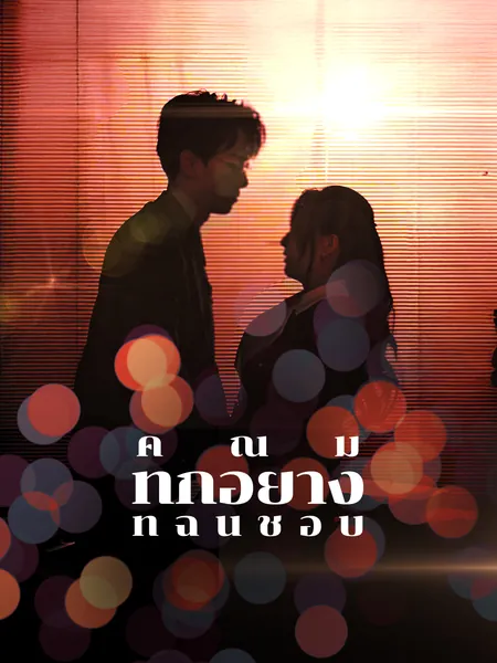 คุณมีทุกอย่างที่ฉันชอบ