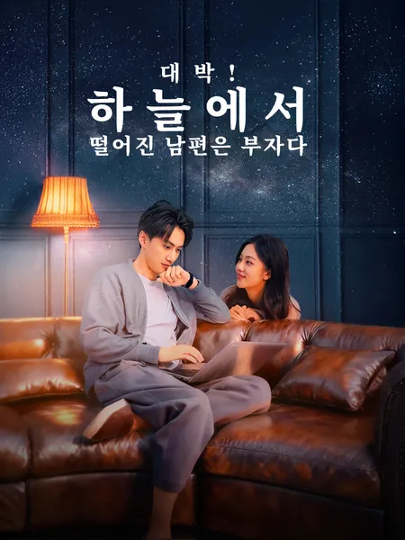 대박! 하늘에서 떨어진 남편은 부자다