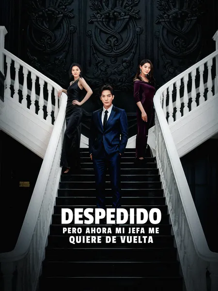 Despedido, pero ahora mi jefa me quiere de vuelta