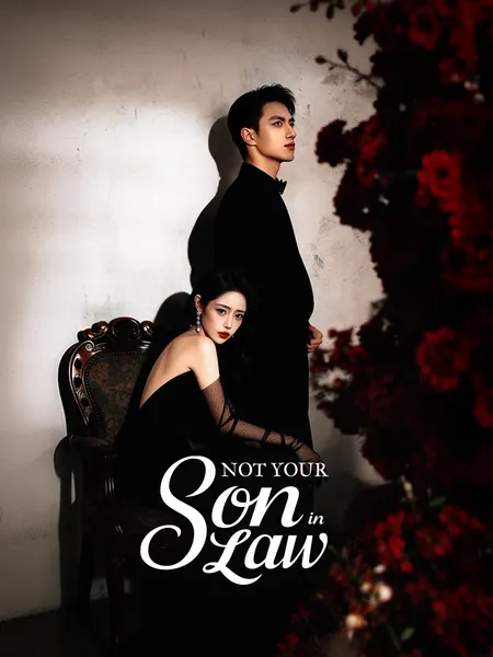 Not Your Son-in-Law