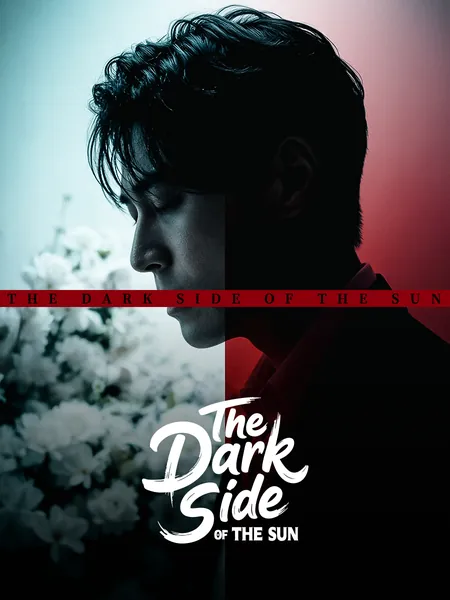 The Dark Side of the Sun
