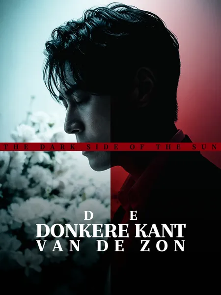 De Donkere Kant van de Zon